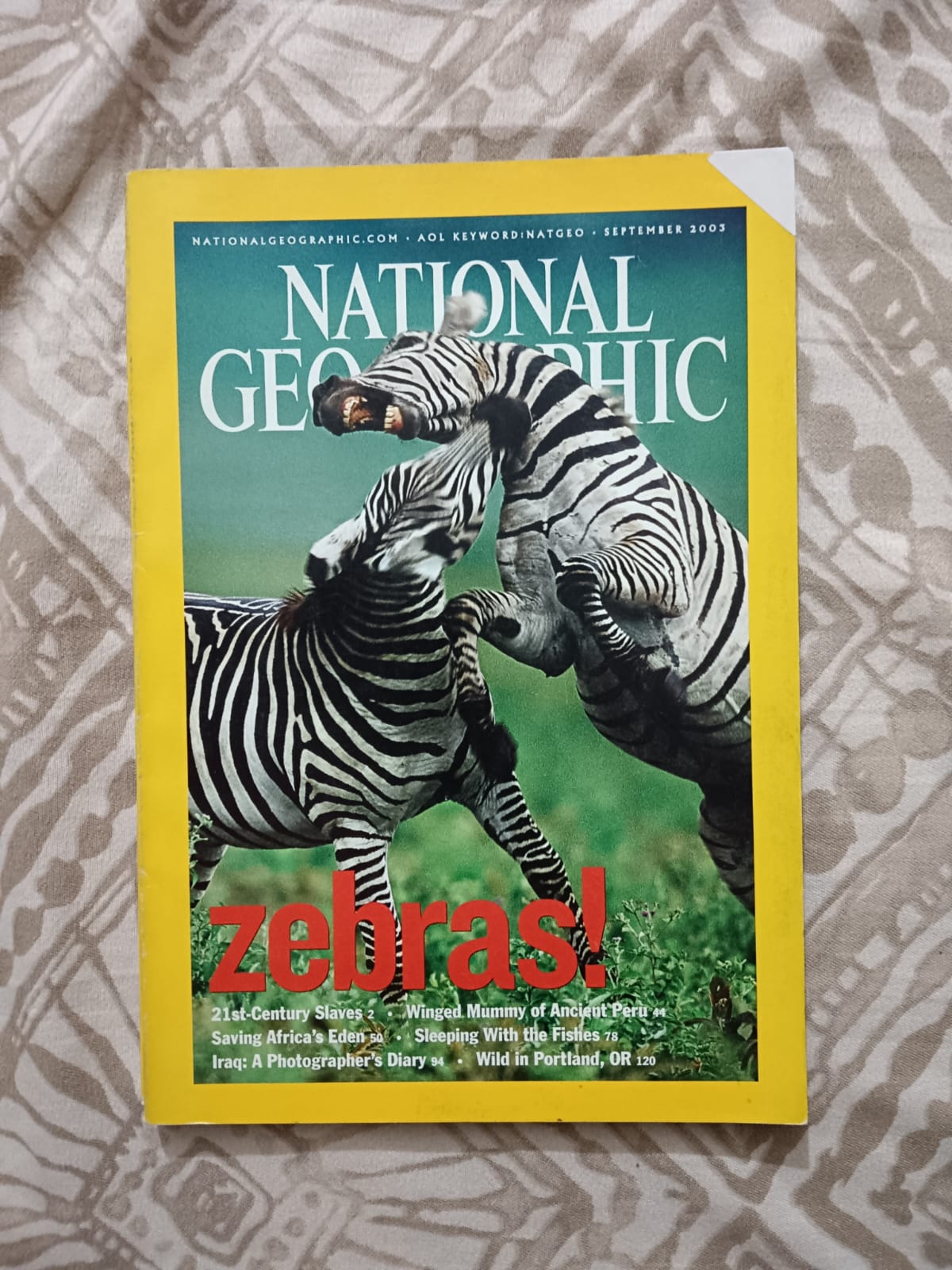 National Geographic - ZEBRAS