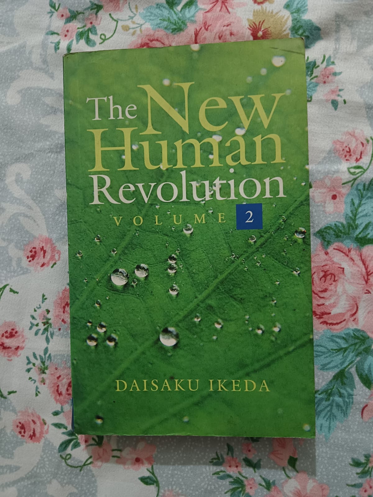 The New Human Revolution - Daisaku Ikeda