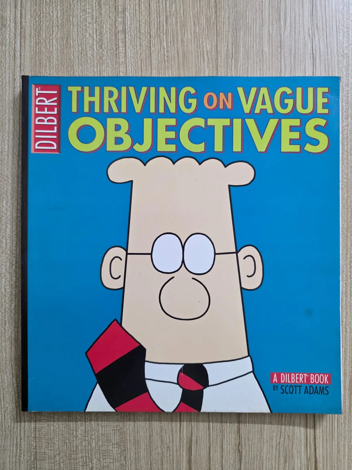Thriving on Vague Objectives